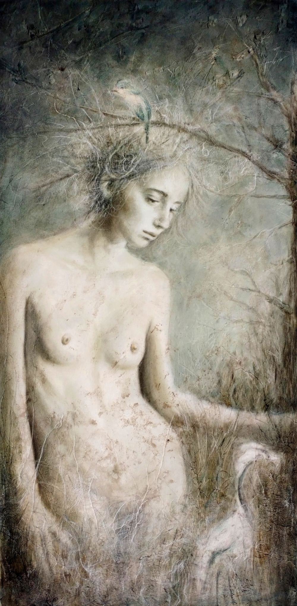  - ROSY MANTOVANI       